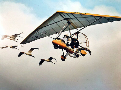 Deke Clark flying in formation with cranes